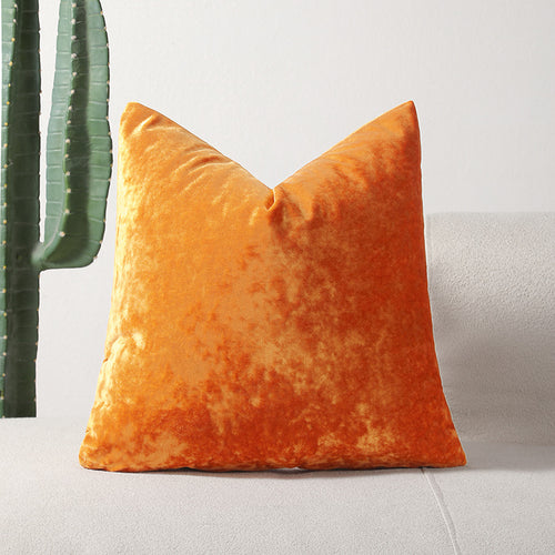 Luxurious Velvet Textured Cushion