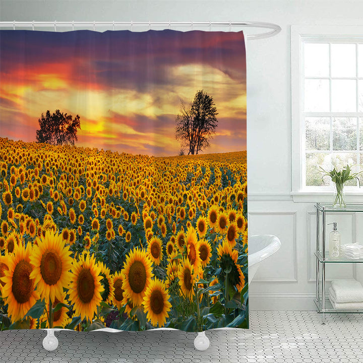 Decorative Shower Curtain Bowlift