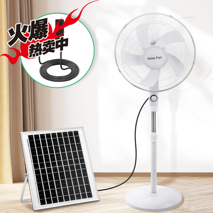 Ladies Solar Fan Bowlift