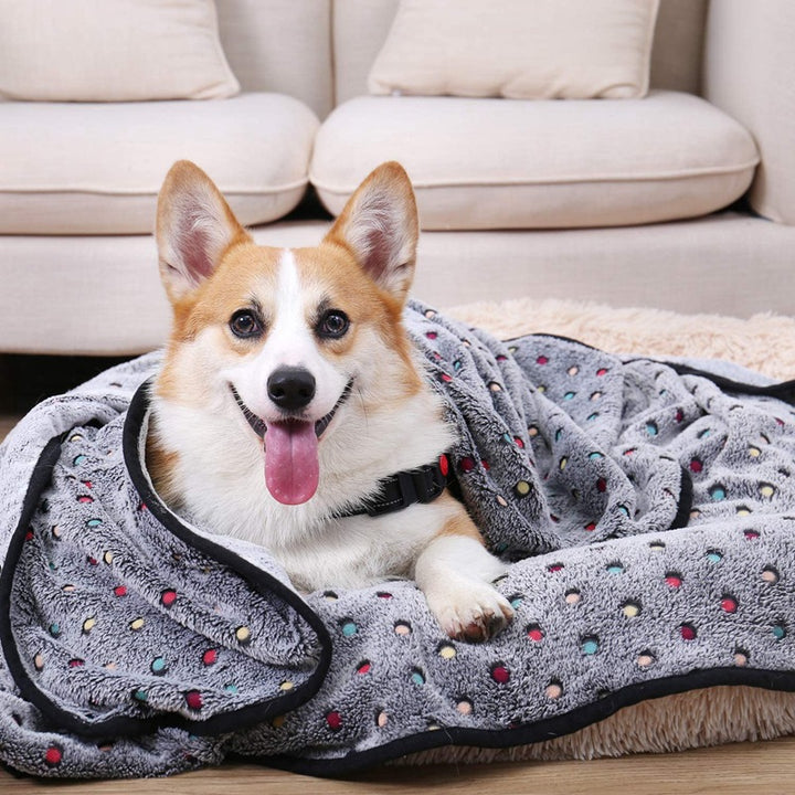 Ladies Cozy Microfiber Blanket with Playful Pattern Bowlift