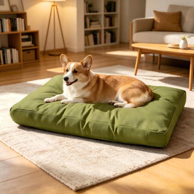Premium Orthopedic dog Lounger