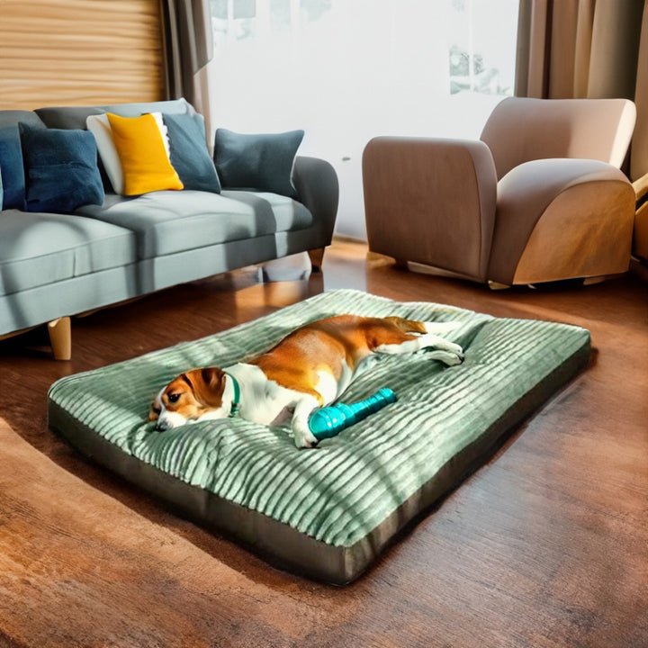 Soft Textured  Mat  Dog Bed