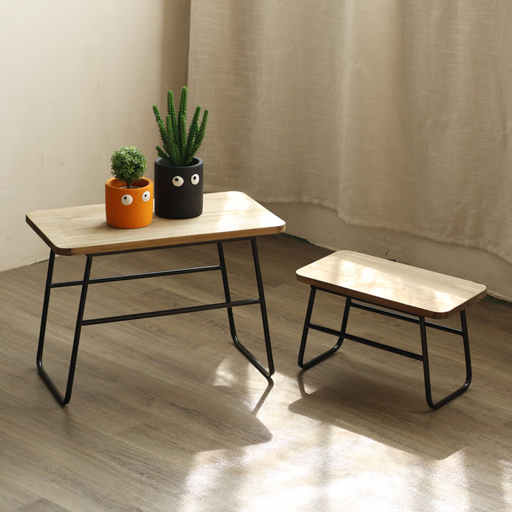 Modern coffee table in minimalist design Bowlift