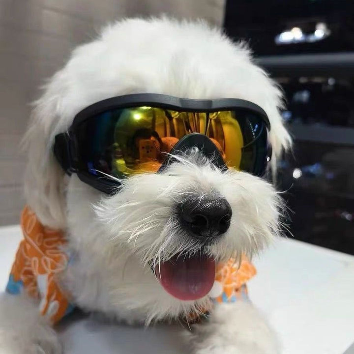 Pet Sunglasses Bowlift