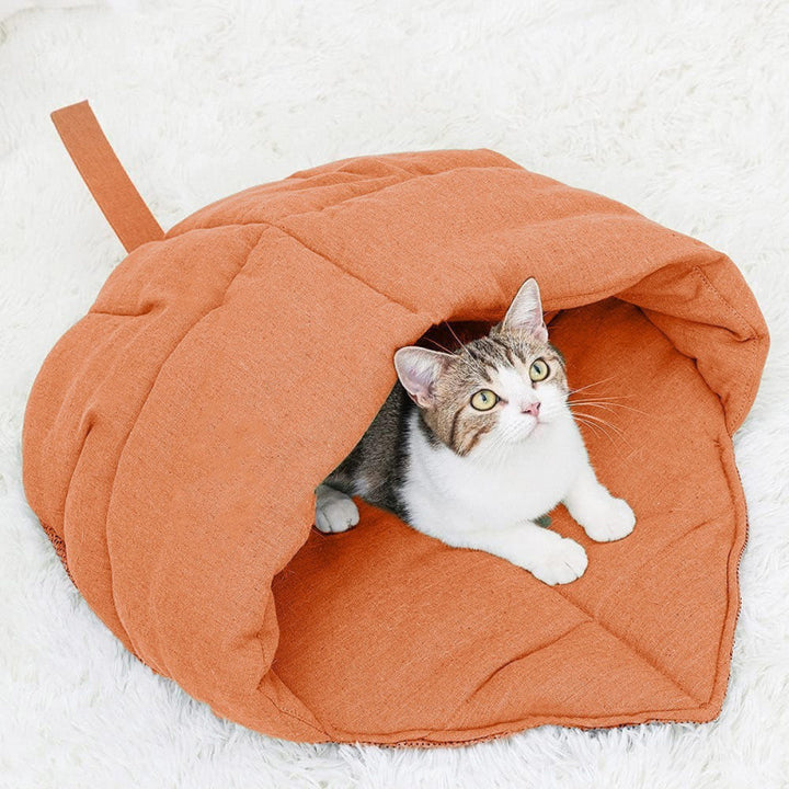 Cozy cat cave Bowlift