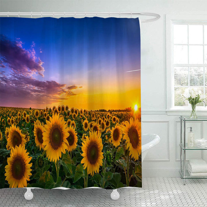 Decorative Shower Curtain Bowlift