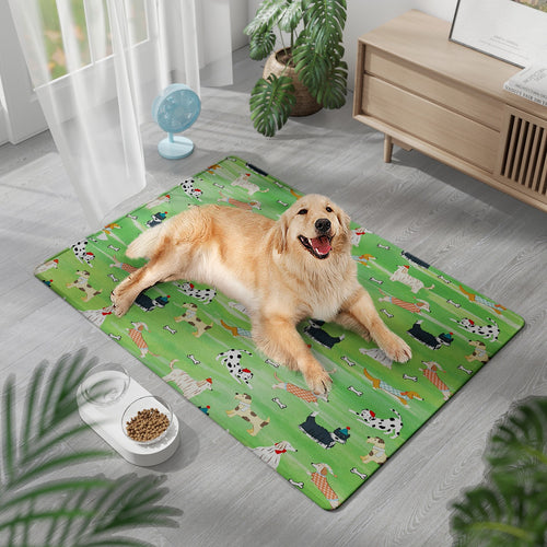 Pet-Friendly Comfort Mat Bowlift