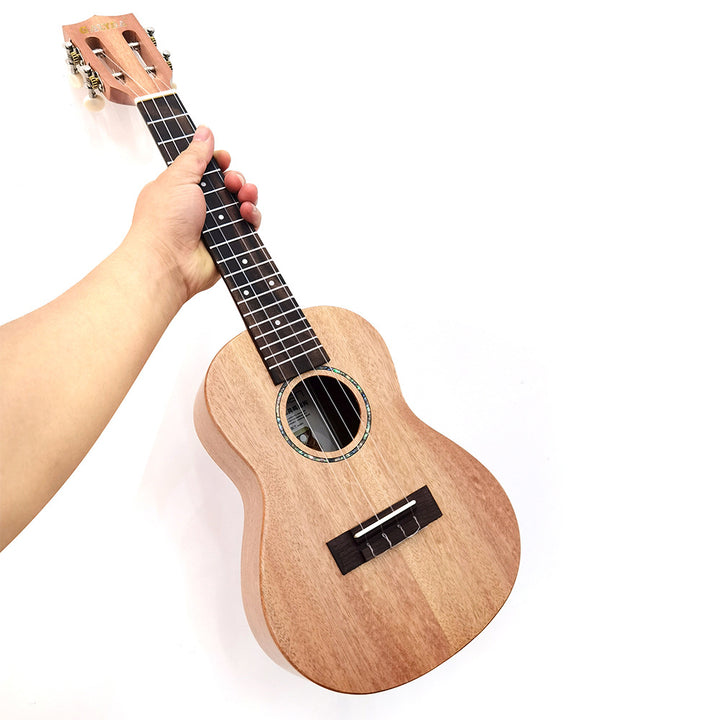 Rainbow Acoustic Ukulele Bowlift