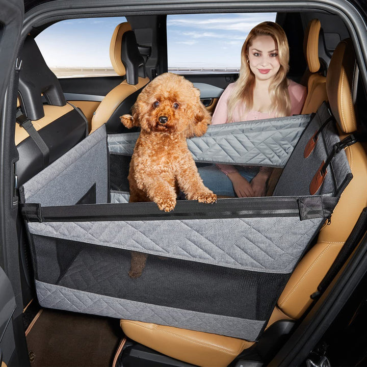 Pet Travel Safety