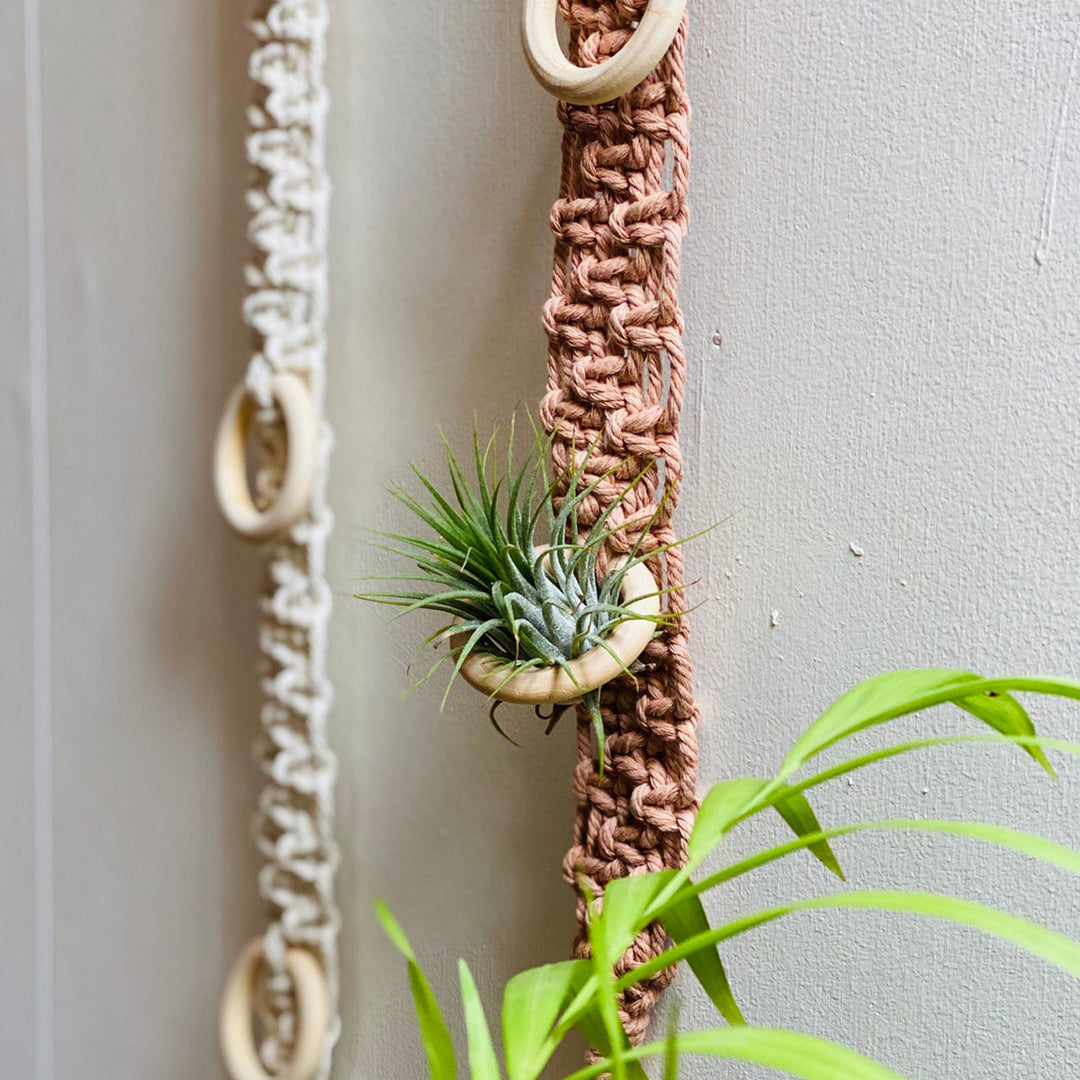 Macrame Wall Plant Holder Bowlift