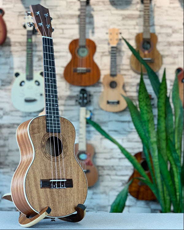 Premium Acoustic Ukulele Bowlift