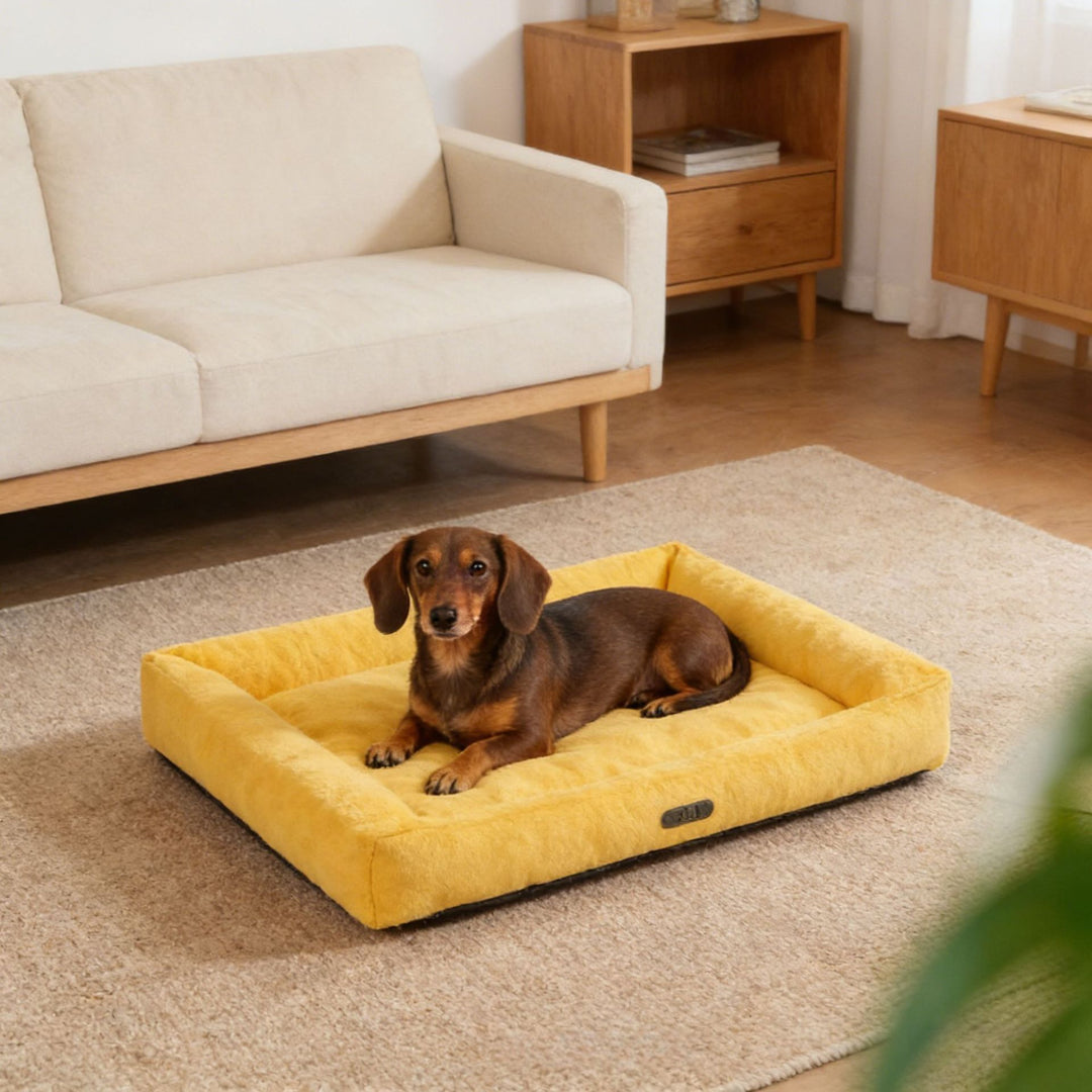 Premium Outdoor dog bed