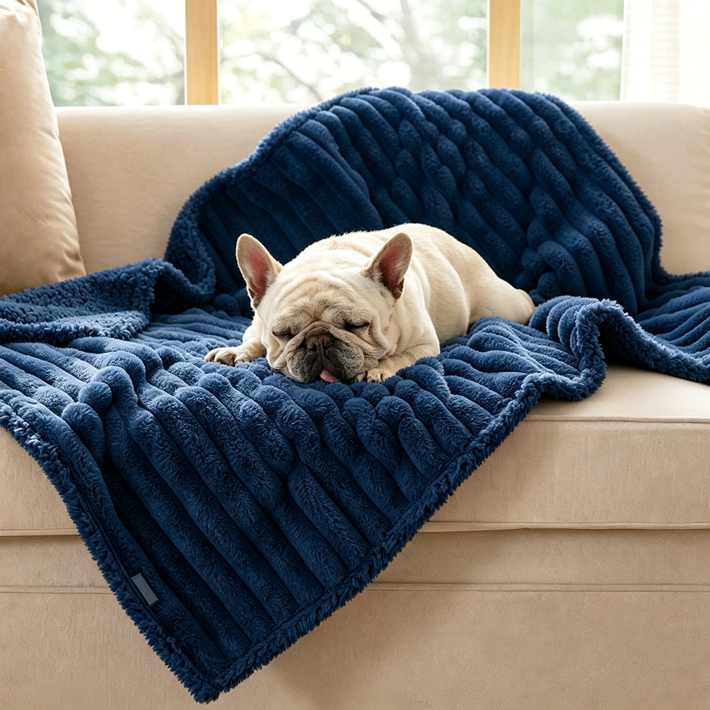 Cozy Textured Plush dog Blanket