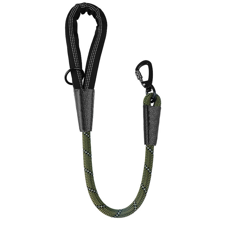 Dog Leash