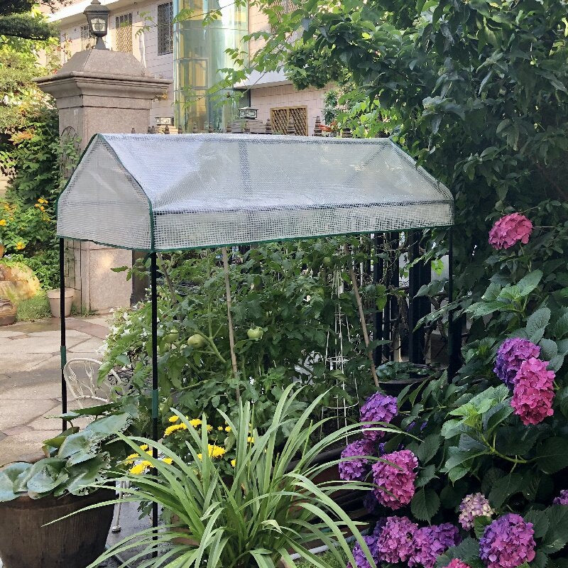 Garden Greenhouse