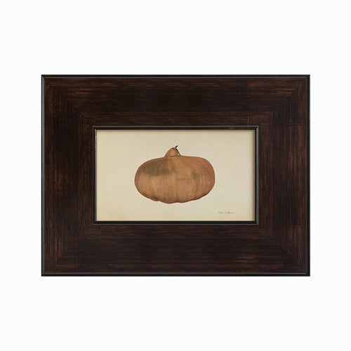 Framed Pumpkin Botanical Art Print