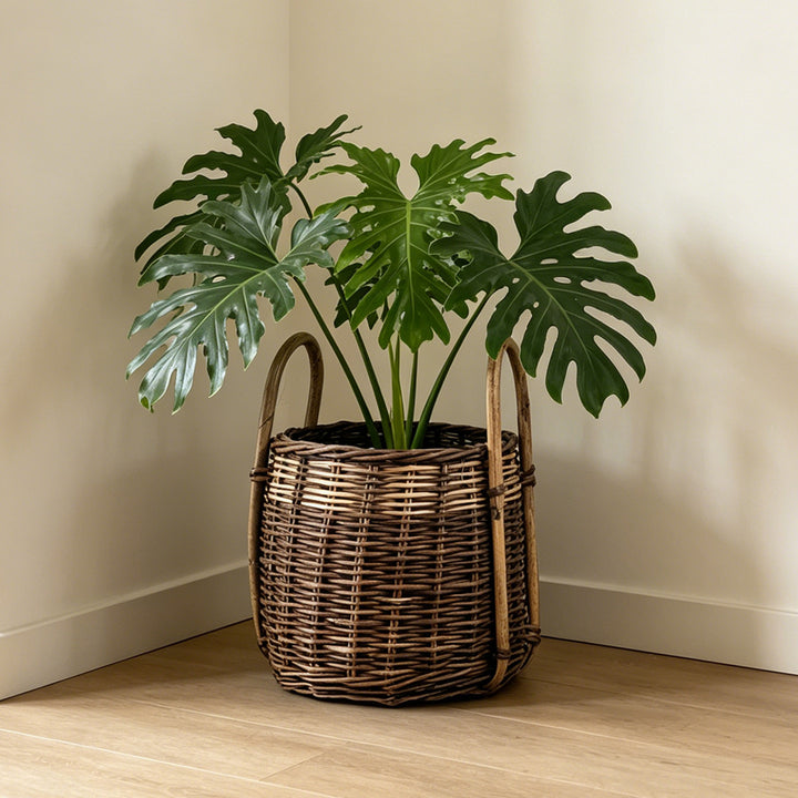 Natural woven storage basket Bowlift