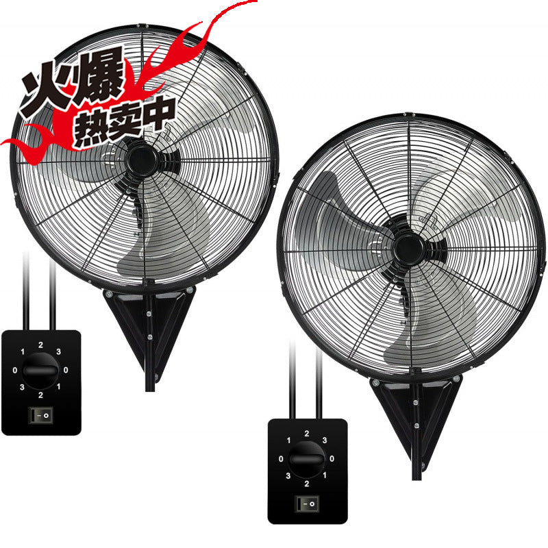Unisex wall fan with powerful air circulation Bowlift
