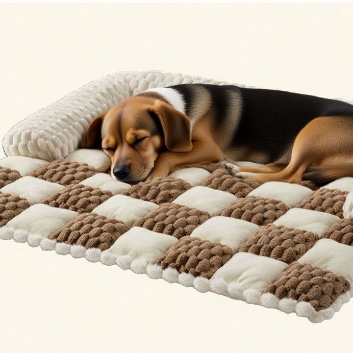 Cozy Orthopedic  Cushion   Dog Bed