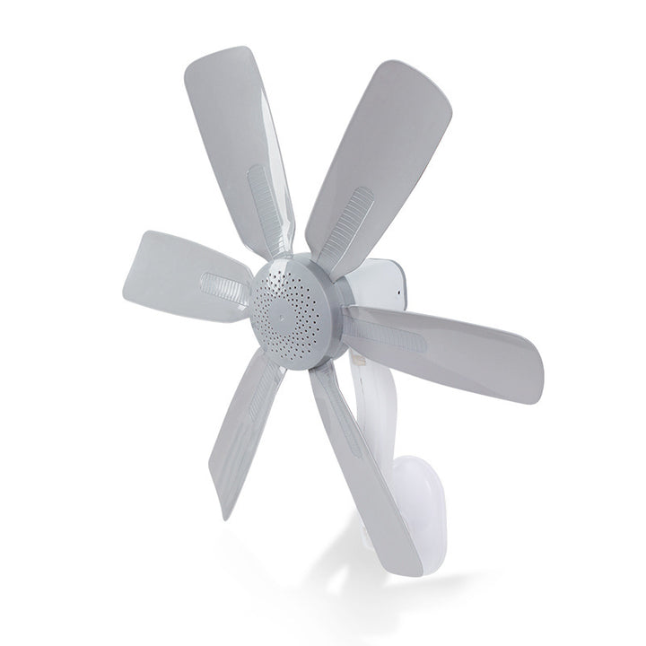 Unisex Wall Fan with modern design Bowlift