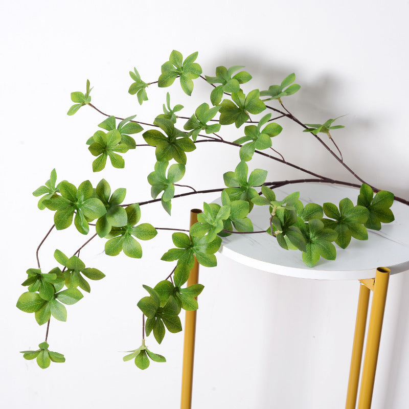 Decorative Green Plant