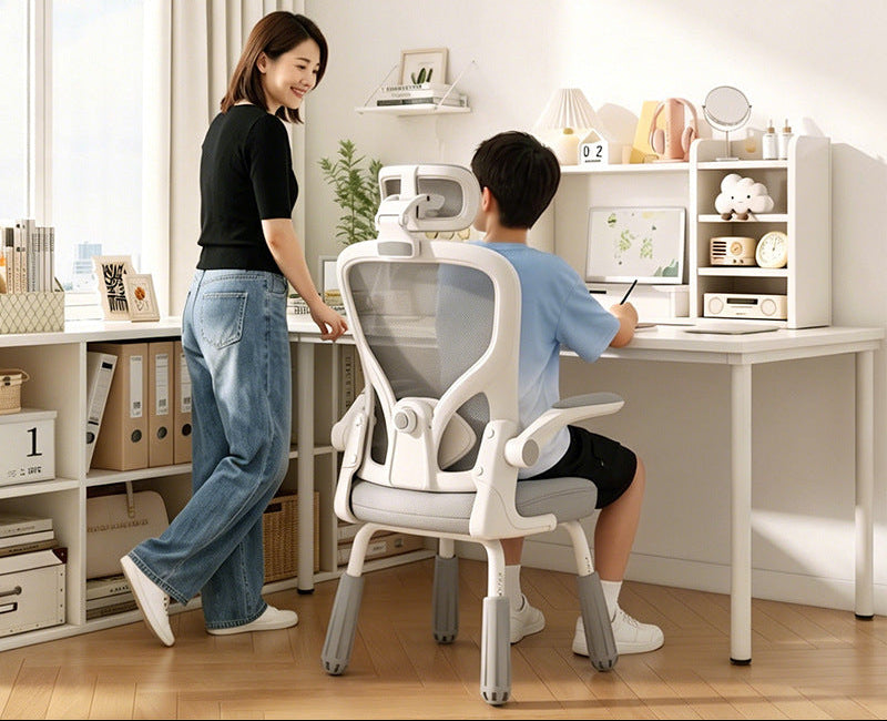 Ergonomic Study Chair Bowlift