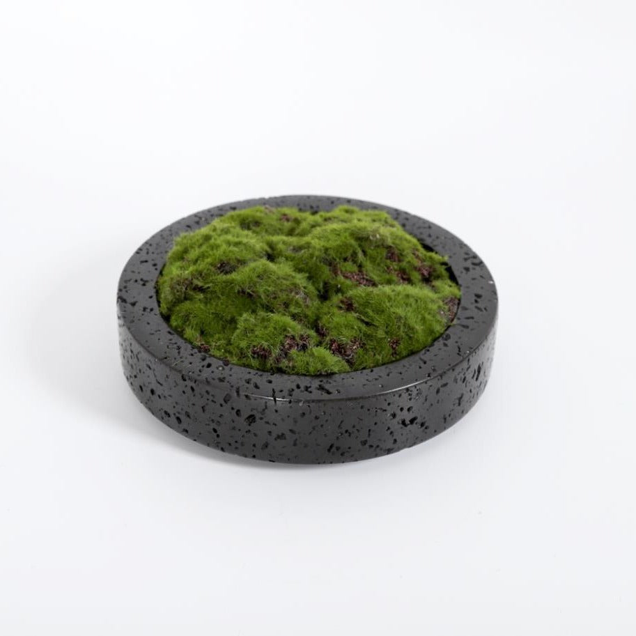 Home decoration Flower pot