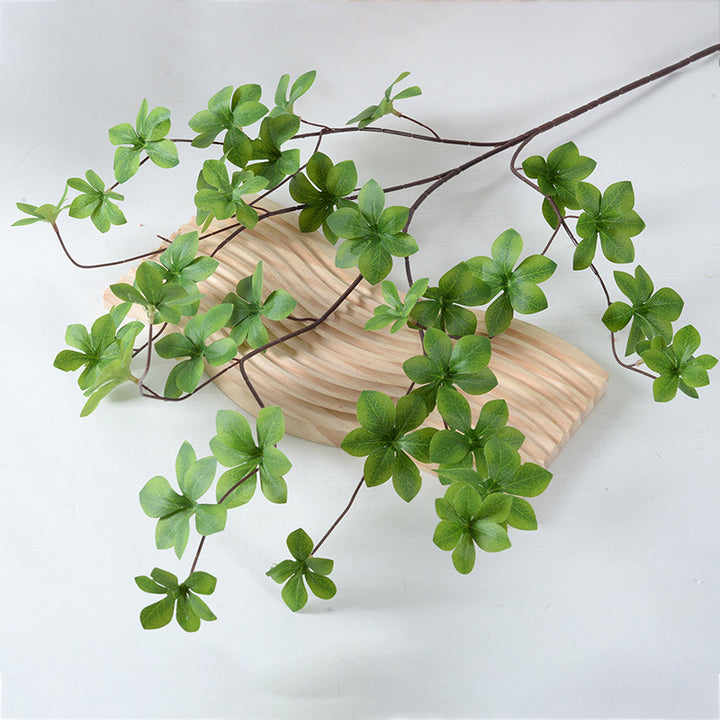 Decorative Green Plant