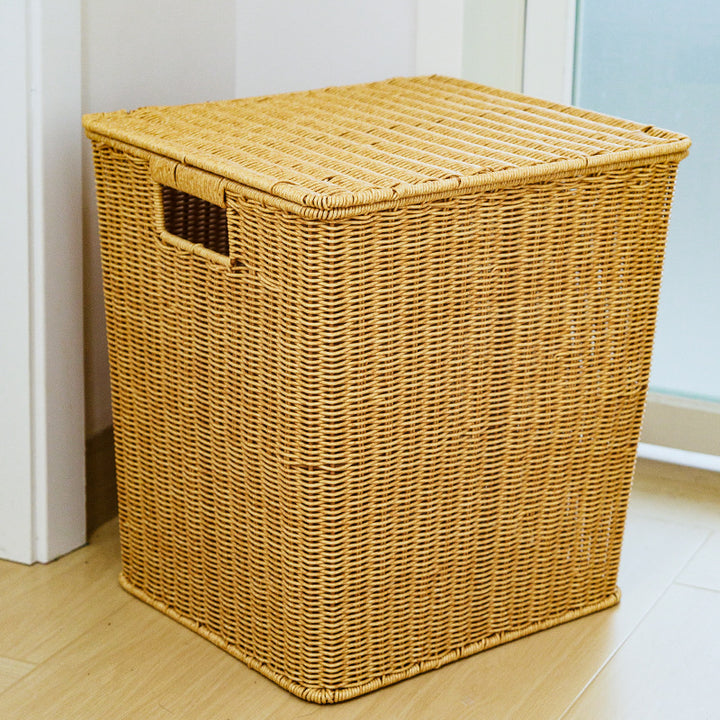 Woven Storage Cube Basket Bowlift