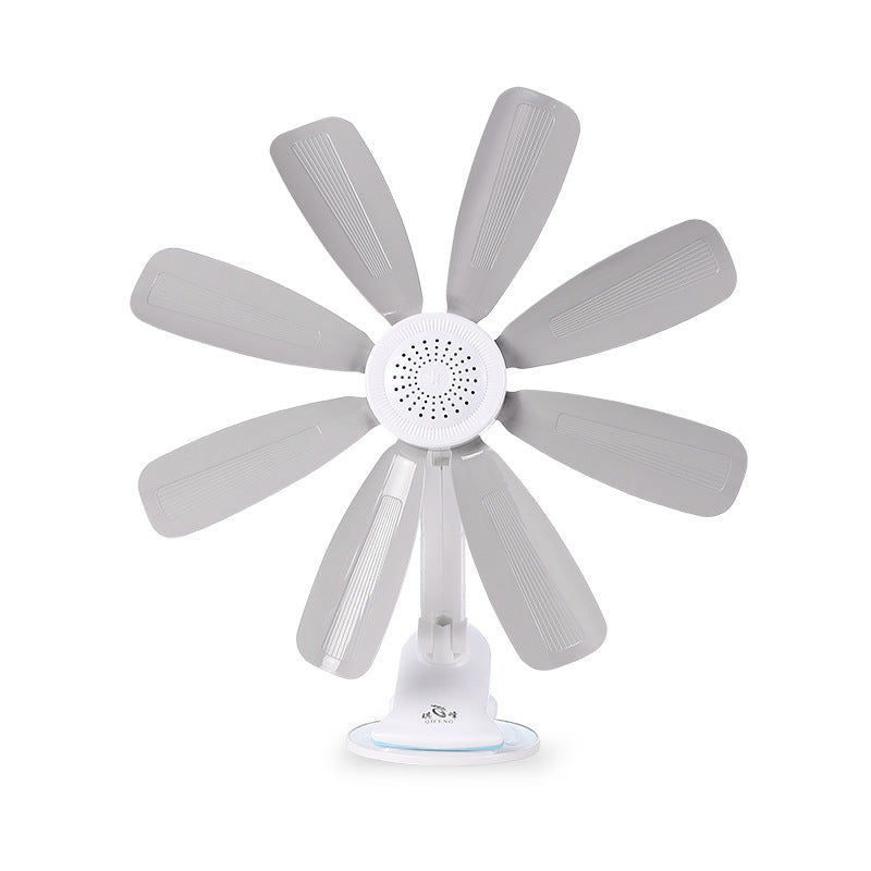 Ladies Stand Fan Bowlift