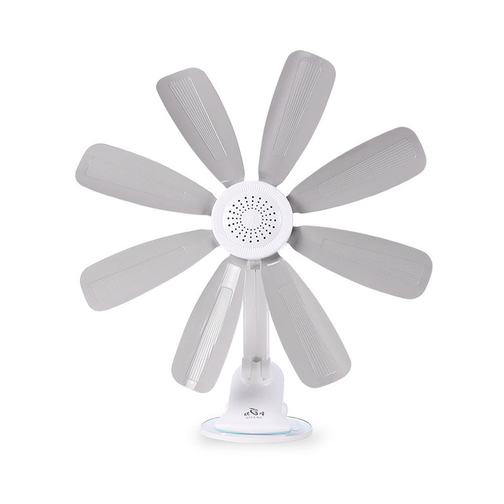 Ladies Stand Fan Bowlift
