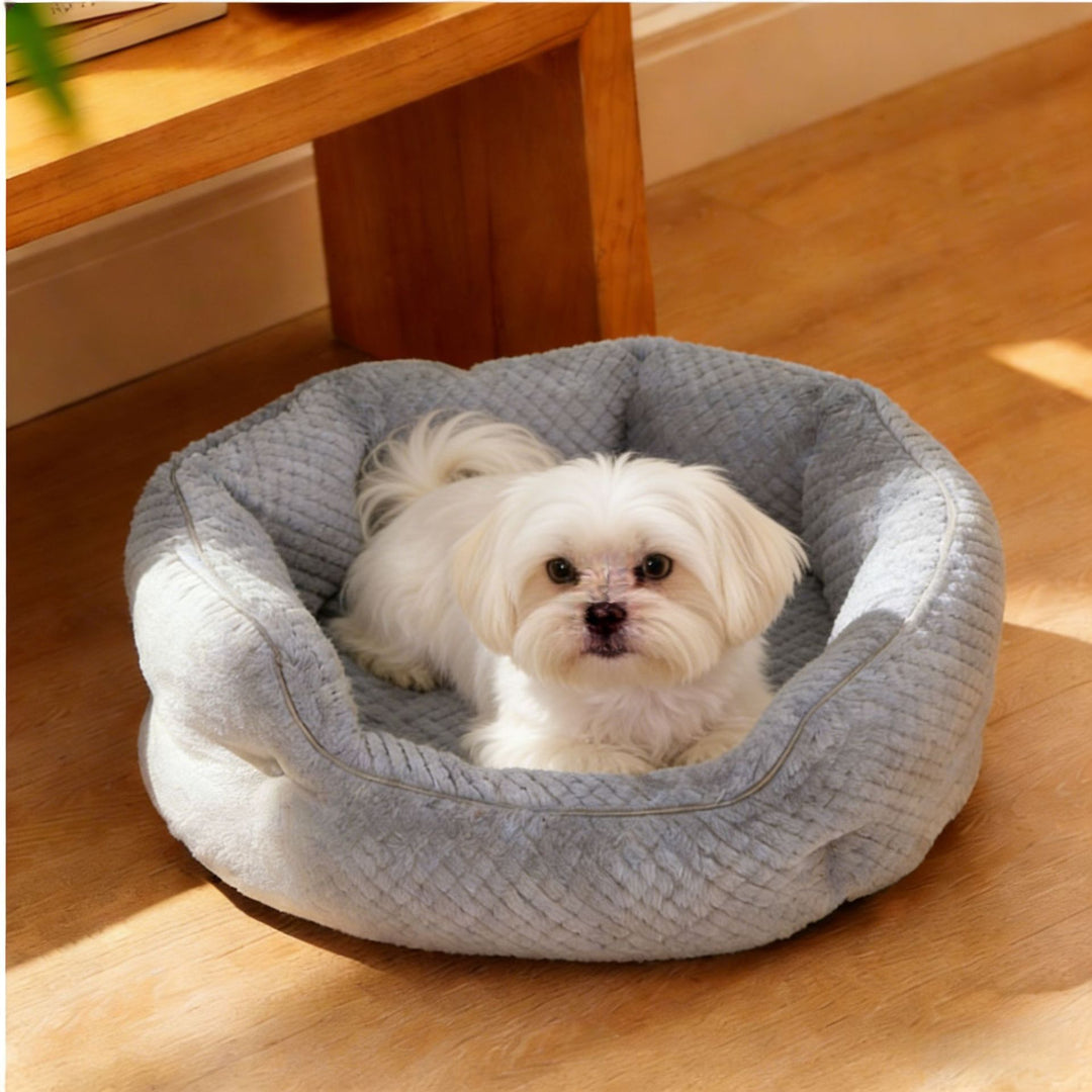 Luxurious Quilted dog Nest