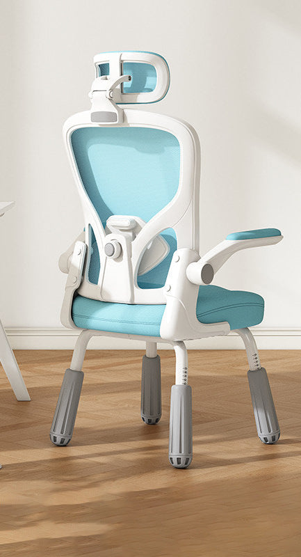 Ergonomic Study Chair Bowlift