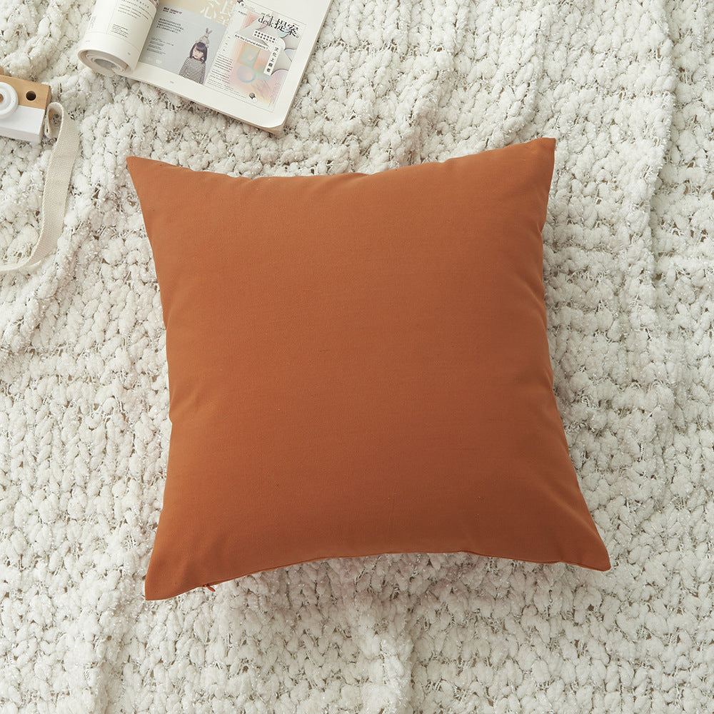 Minimalist Decorative Cushion