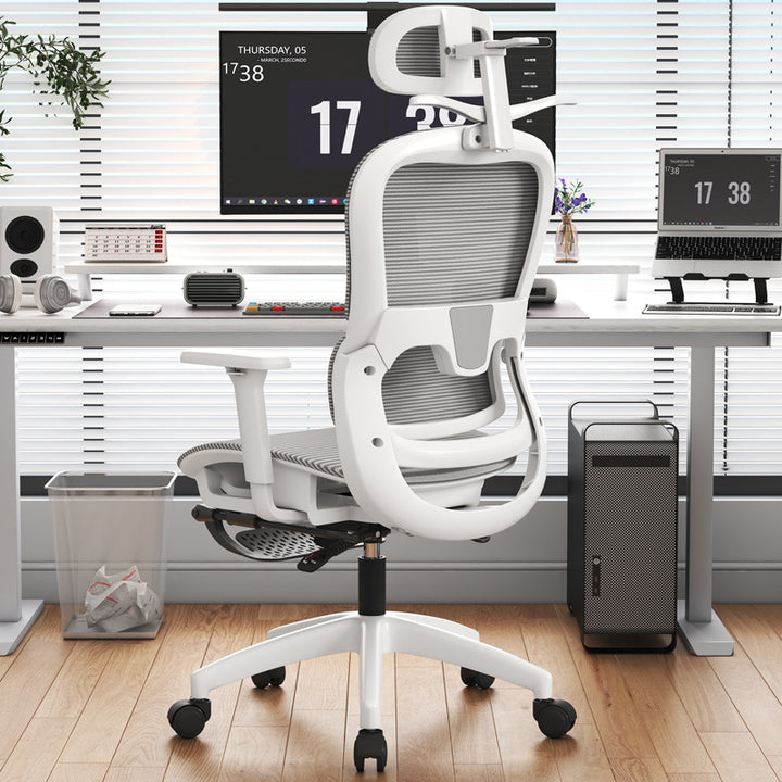 Office Ergonomic Task Chair Bowlift