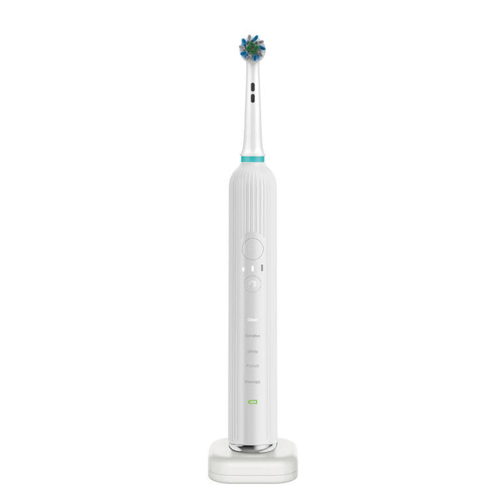 Electric Toothbrush Bowlift