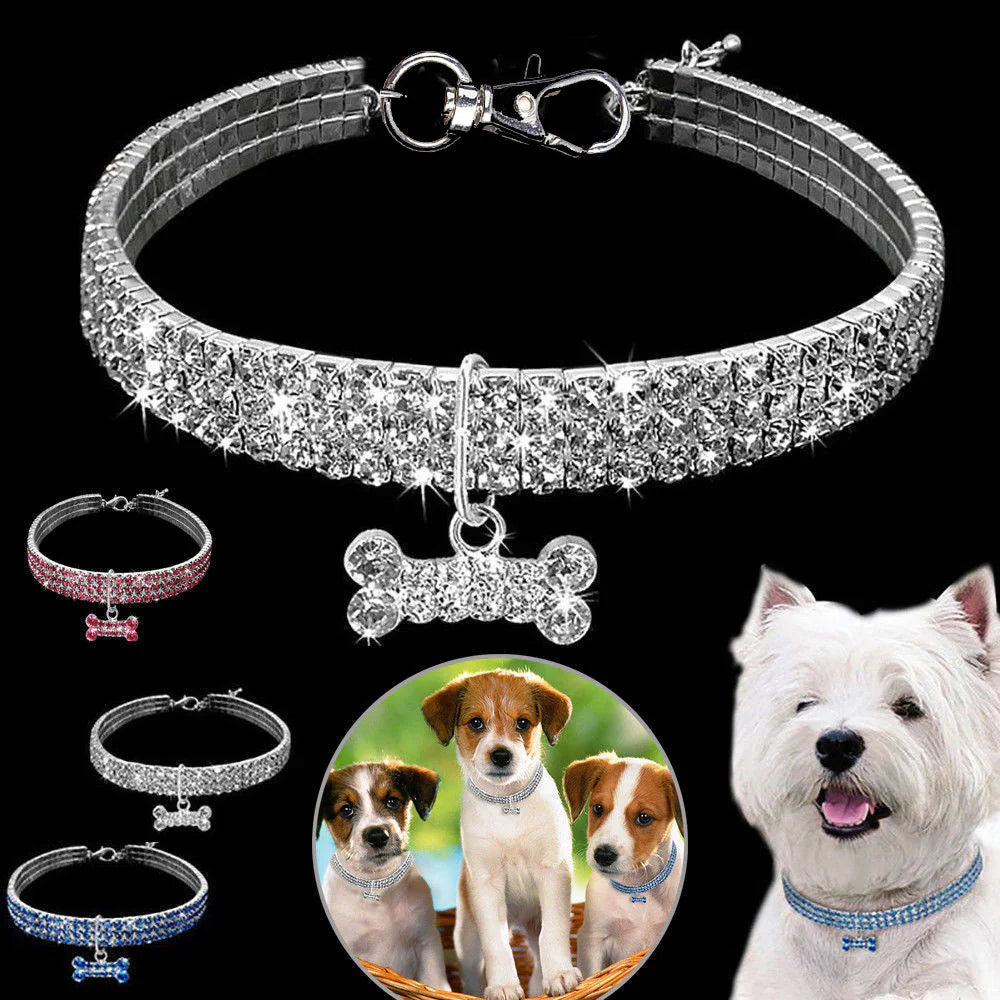 Glamorous Pet Collar – SparkleCollar Bowlift