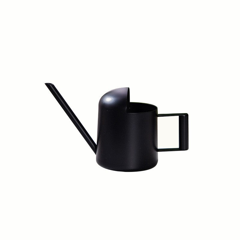 Modern Stainless Steel Watering Can