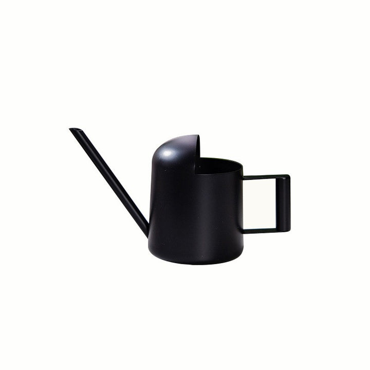 Modern Stainless Steel Watering Can