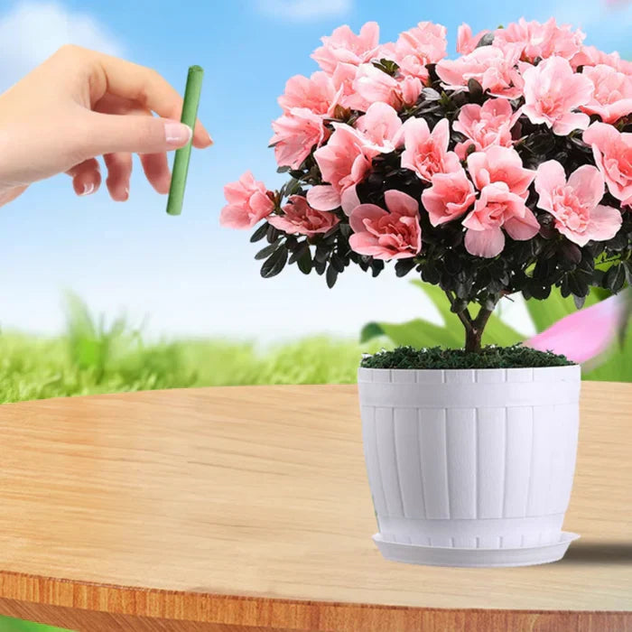 Long-lasting Fertilizer for Easy and Sustainable Plant Care Bowlift