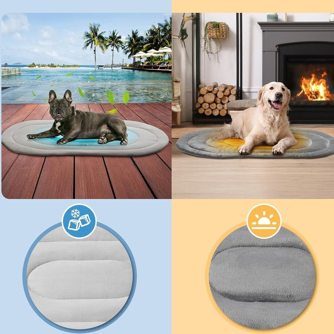 Unisex Pet Bed with Ergonomic Padding Bowlift