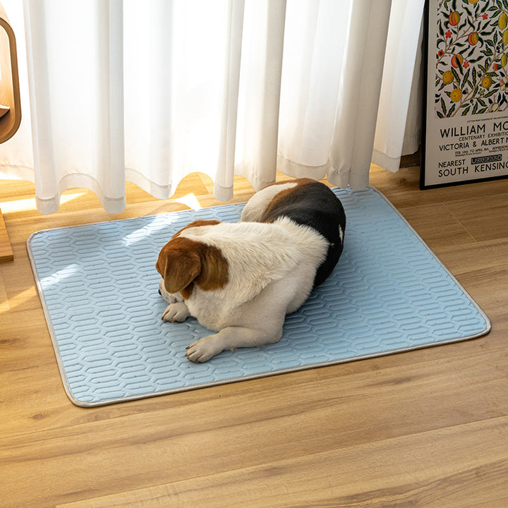 Orthopedic Comfort Dog Mat