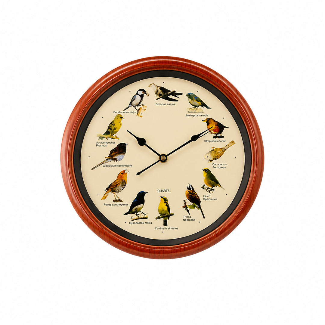 Wall clock with colorful bird design Bowlift