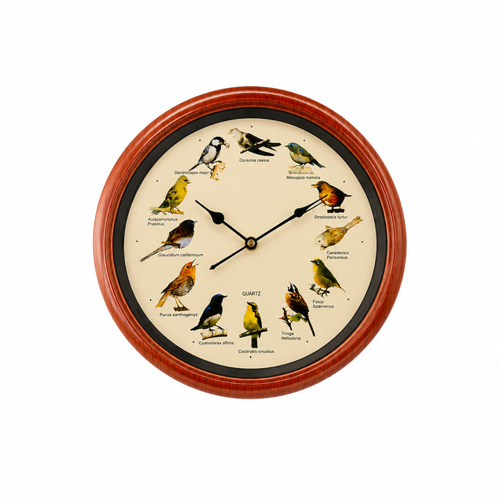 Wall clock with colorful bird design Bowlift