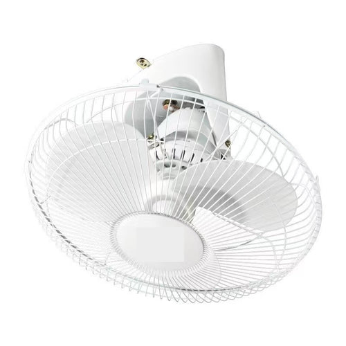 Ladies ceiling fan Bowlift
