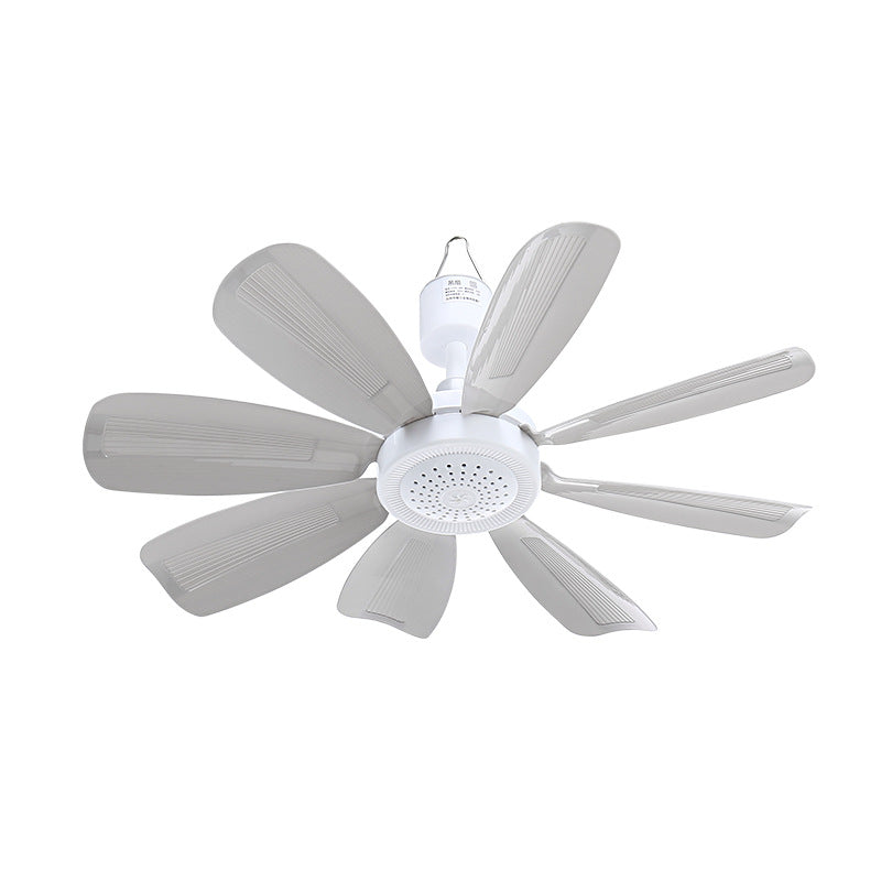 Ladies Ceiling Fan Bowlift