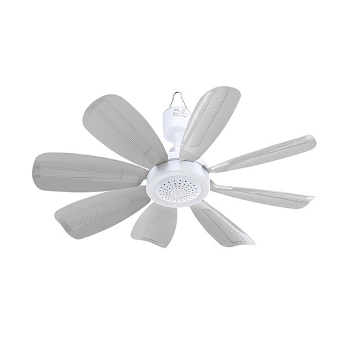 Ladies Ceiling Fan Bowlift