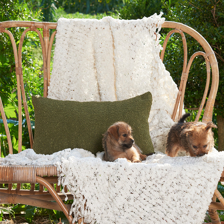 Textured Velvet Accent Cushion