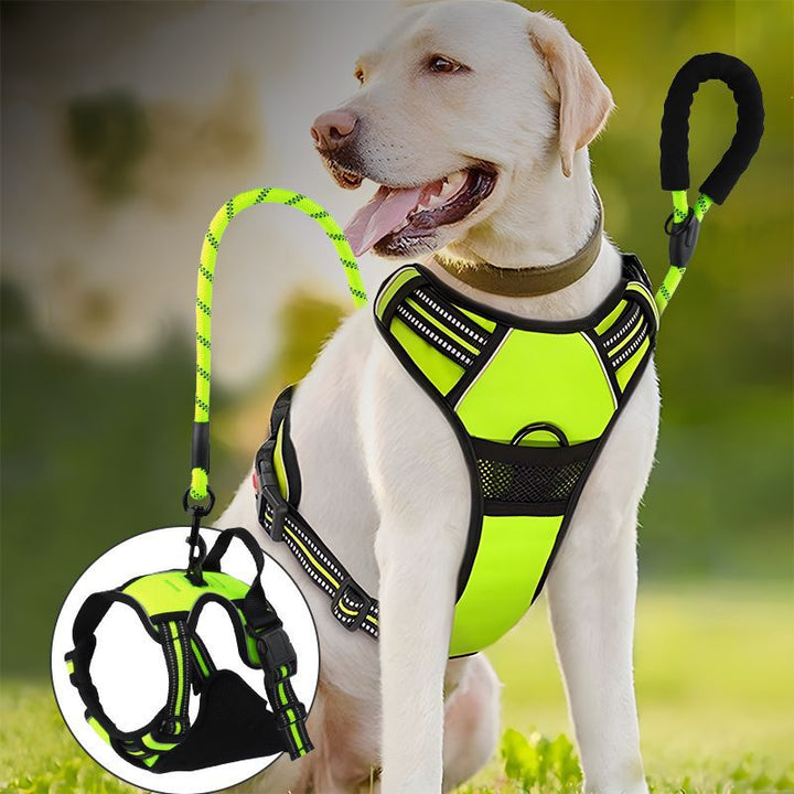 Comfortable Adjustable Dog Harness and Leash Set