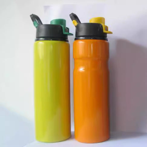 Insulated Water Bottle Bowlift